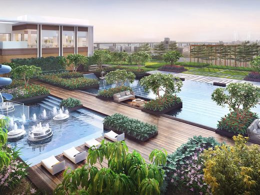 Pool deck and water features